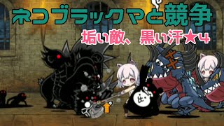 にゃんこ大戦争 ネコブラックマ 垢い敵 黒い汗 星4 أغاني Mp3 مجانا にゃんこ大戦争 ネコブラックマ 垢い敵 黒い汗 星4 أغاني Mp3 مجانا