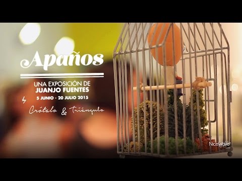 Inauguración Exposición “Apaños”