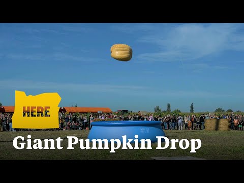 What Happens When You Drop A Giant Pumpkin 100 Feet Into A Pool