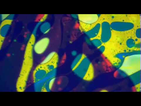 Grateful Dead  -  Bertha-Good Lovin-Stagger Lee -  1/14/1979