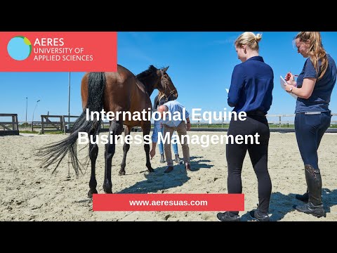 International Equine Business Management | Bachelor Programme | Aeres  University of Applied Sciences