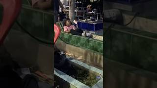 Download lagu ANJAY BERASA NONTON BIOSKOP🤣#trending #shorts #horror #hororkomedi #lucu #hantu #jin #creepy mp3 Download lagu ANJAY BERASA NONTON BIOSKOP🤣#trending #shorts #horror #hororkomedi #lucu #hantu #jin #creepy mp3