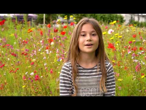 Insel Rügen || Wandern fürs Meer - Weniger fürs Meer