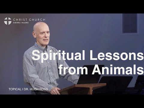 Spiritual Lessons From Animals | Dr. Hugh Ross