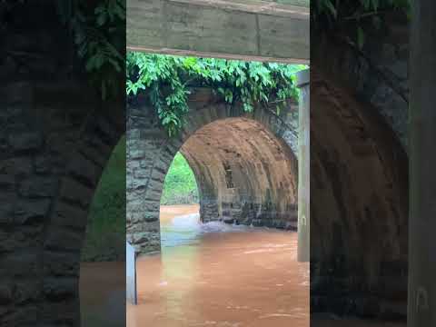 Muliyar💦💫 "Look deep into nature,and then you will understand everything is better".🥰