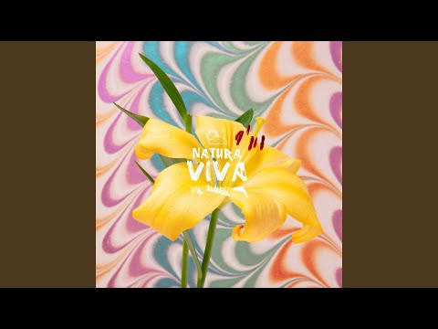 W I R wir sind doch anders