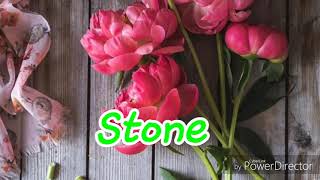 Stone - Alessia Cara Ft Sebastian Kole