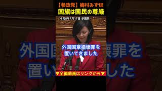 【国旗は国民の尊厳】国旗損壊罪を創設する理由｜梅村みずほ#参政党