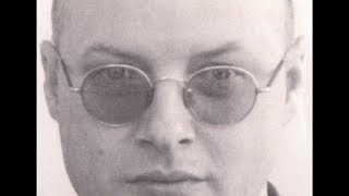 Andy Partridge -The Loving -