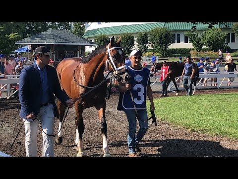 2021 Haskell: Featuring Hot Rod Charlie, Mandaloun, and Midnight Bourbon.