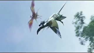 "De que valem as pernas se posso voar?"