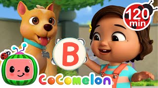 B is for Bingo! 🐶 | CoComelon Nursery Rhymes and Kids Songs | Animals for Kids 