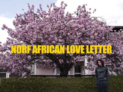 SWEETBOYBLONDEY - Norf African Love Letter (Official Video) [prod. Ngbeats]