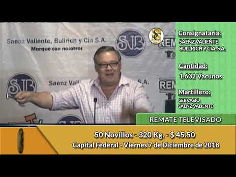 7-12-18 - Remate Televisado de SAENZ VALIENTE, BULLRICH Y CIA  - Capital Federal