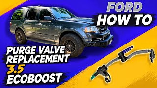 EASY FIX!! FORD Ecoboost 3.5 - Purge Valve-(How-To) Replacement-P144c Code!