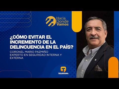 Hacia Dónde Vamos: ¿Cómo evitar el incremento de la delincuencia en el país?