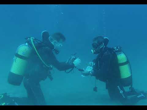 ¿Qué pasa con los colores bajo el agua?