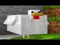C418 - Chirp played over cursed images of birds