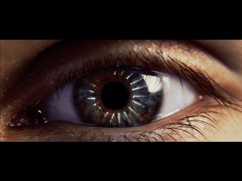 Nerve Growth Factor (NGF): The Protein Powering Neural Connections