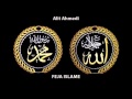 Feja Islame Alit Ahmedi