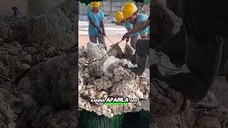 Download lagu Executioner of Cheating Rubber Farmers #shorts #rubber #farmers mp3