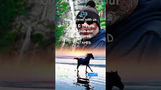 Untamed #cruise #cruiseline #travel #travelwithus