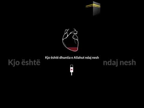 Ne, kurrë nuk mund t'i shoqërojmë Allahut ndonjë gjë #islam #quran #albania #shorts #shqip #god #yt