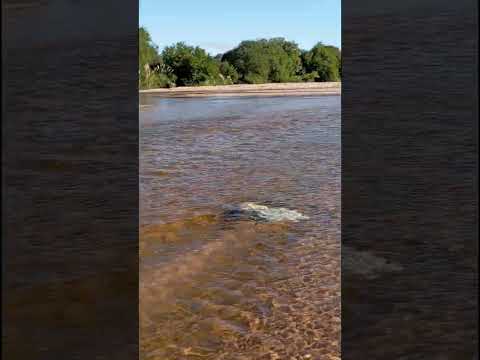 playa del rio arroyo de los patos#cordoba #riolossauces