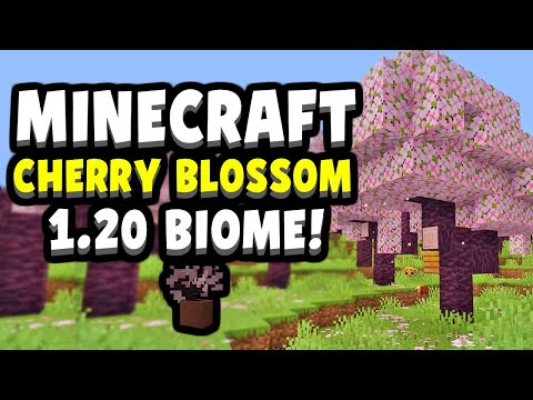 MINECRAFT 1.20 CHERRY BLOSSOM BIOME! & Cherry Wood Set (Gameplay Preview)
