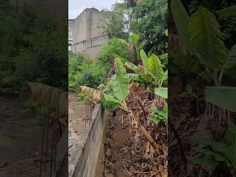 iraquara Bahia Chapada Diamantina