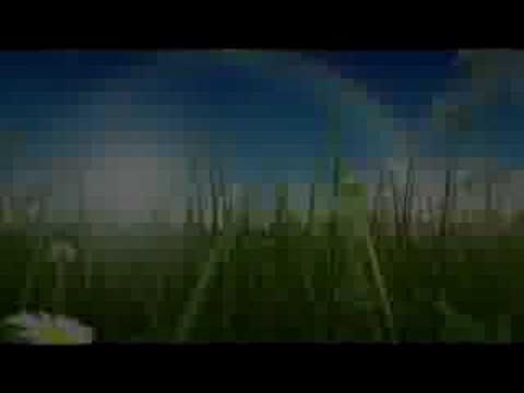 Kanal 5 - Pridevinjett