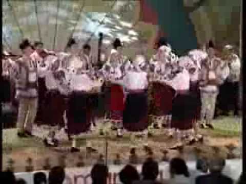 Albesteanu 2008 - Ansamblul folcloric "Doina Baraganului" - Batraneasca