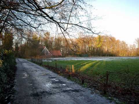 download lagu mp3 mp4 Chris Rea Baby Don T Cry, download lagu Chris Rea Baby Don T Cry gratis, unduh video klip Chris Rea Baby Don T Cry