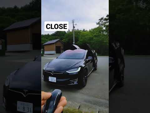 テスラ:モデルXの致命的な事故で被害者が死亡