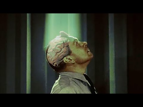 Ripship - New Mexico