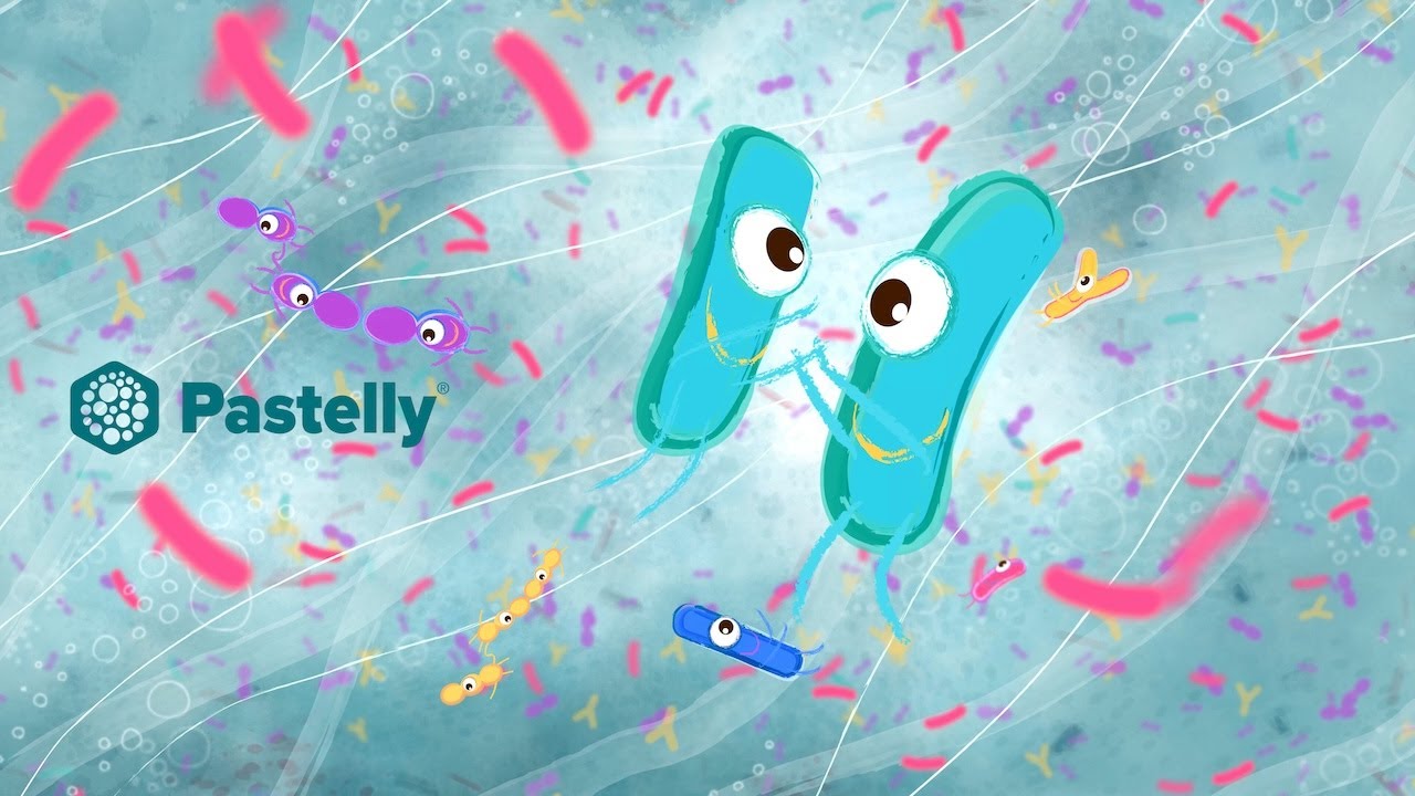 Play Pastelly | Život v našem střevě