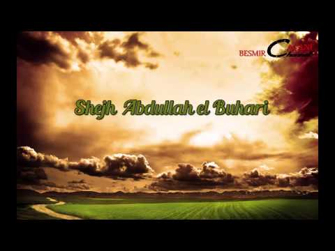 278. Pasojat e gjynahut - Shejh Abdullah el Buhari