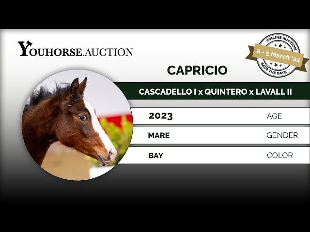 Capricio