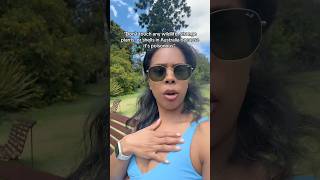 When everything is poisonous on vacation