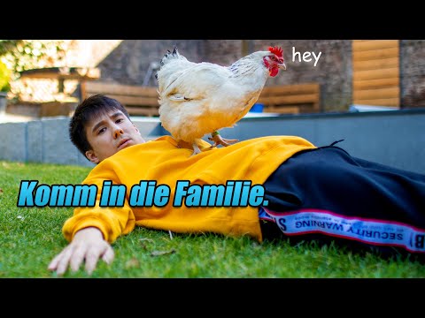 Meine BIO-HÜHNER ziehen ein und ich bau 1 Haus, damit sie nicht obdachlos sind