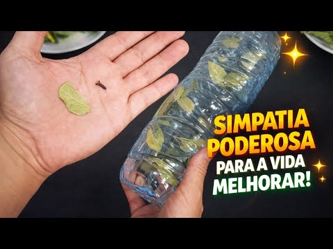 FAÇA SUA ESTRELA BRILHAR 🌟 SEJA O DESTAQUE EM TUDO OQUE FIZER 