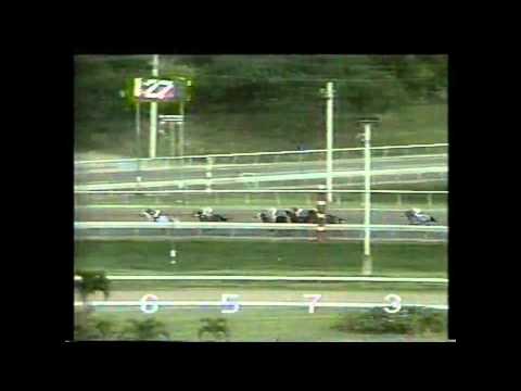 MY LAST DEE CEE - Rompe record de pista en 1-5/8 milla