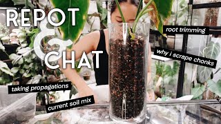 another big repot and chat #10 - chopping plants, trimming back roots and my current soil mix