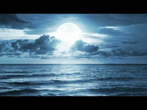 Santiago Forteza: Moon Light (Original Mix)
