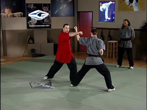 Wushu - Chang Quan