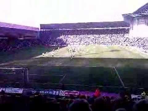 Plymouth Fans At Hawthorns