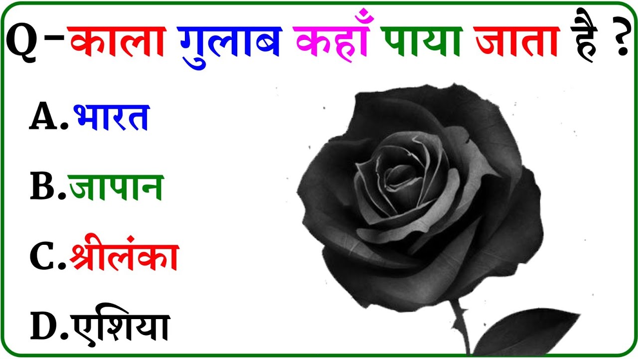 GK Question || GK In Hindi || GK Question and Answer || GK Quiz ||