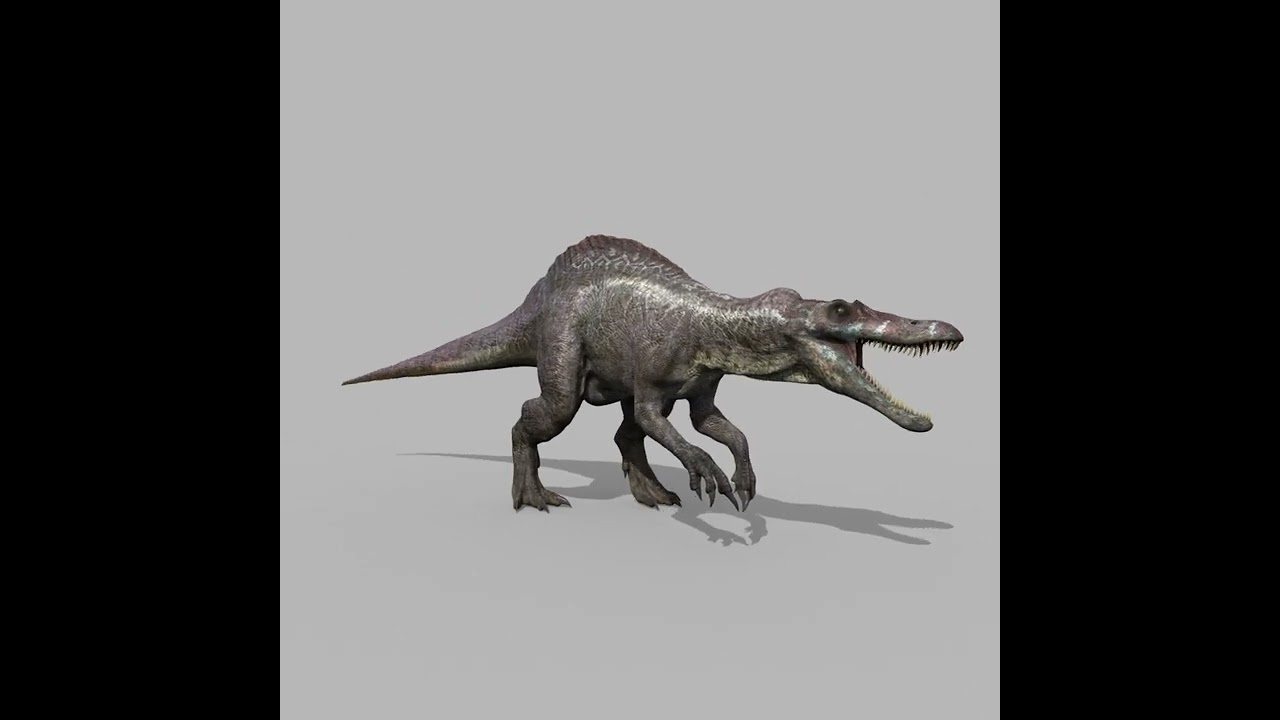 Suchomimus Tenerensis - 8K animated 3D Model
