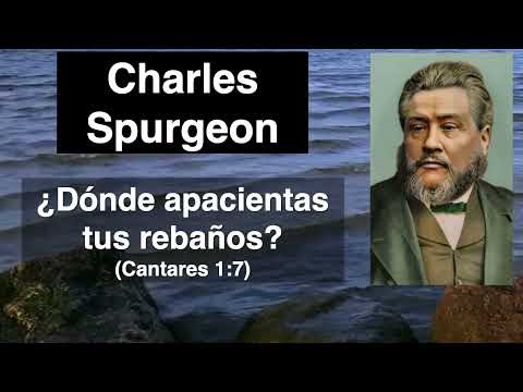 ¿Dónde apacientas tus rebaños? (Cantares 1,7) Devocional de hoy Charles Spurgeon