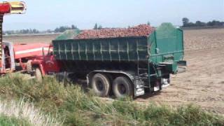 preview picture of video 'Potato Harvesting in Ladner BC Case MXM 140 & Grimme GZ 1700'